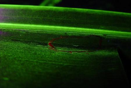 微信圖片_20241104150511