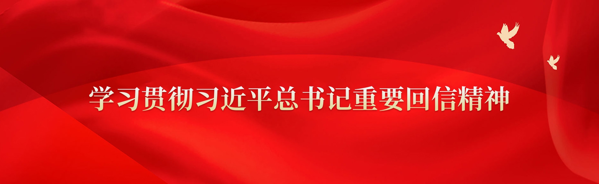 學習貫徹習近平總書記重要回信精神